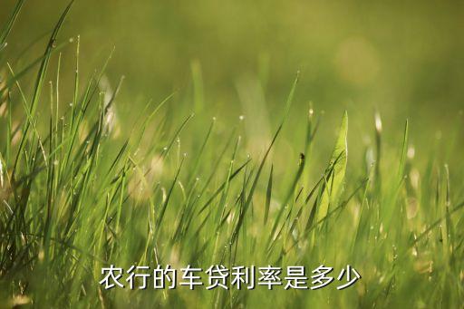 農(nóng)行的車貸利率是多少