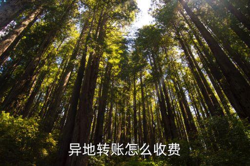 異地轉(zhuǎn)賬怎么收費(fèi)