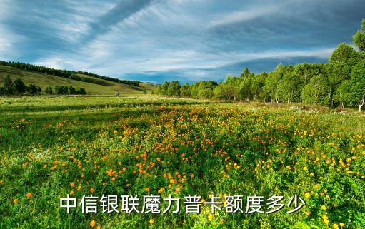 中信銀聯(lián)魔力普卡額度多少