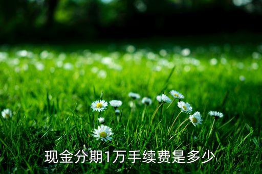 消費分期和現(xiàn)金分期手續(xù)費是多少，現(xiàn)金分期1萬手續(xù)費是多少