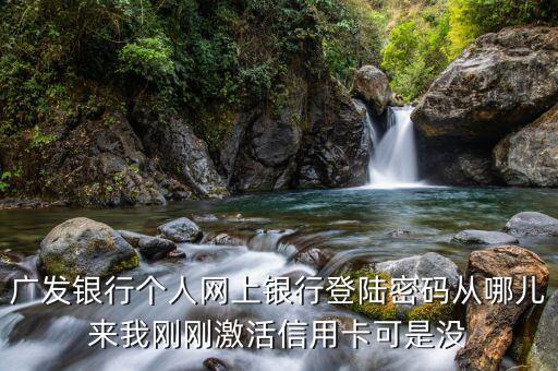 廣發(fā)銀行 網(wǎng)銀登錄密碼是什么情況，廣發(fā)銀行個人網(wǎng)上銀行登陸密碼從哪兒來我剛剛激活信用卡可是沒