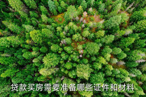 貸款買房抵押什么證件，貸款買房押什么證件