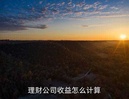 理財公司的利息是多少，10萬理財5點1兩個月多少錢利息