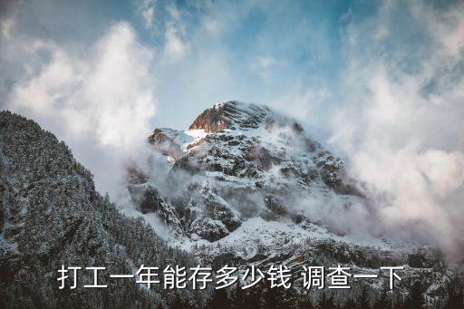 打工一年能存多少錢 調(diào)查一下