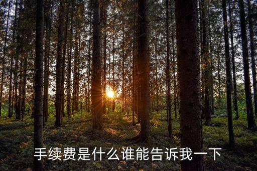 手續(xù)費是什么誰能告訴我一下
