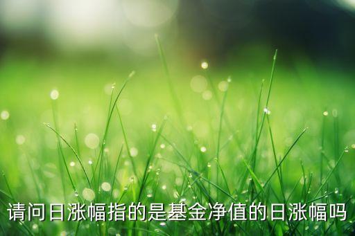 請(qǐng)問日漲幅指的是基金凈值的日漲幅嗎