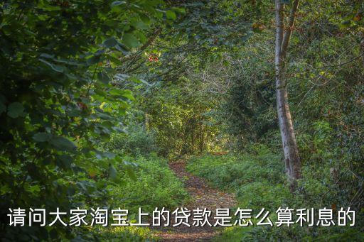 天貓貸款利息多少，天貓分期付款的利息怎么計(jì)算的