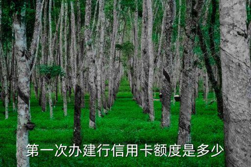 信用卡最低辦多少錢啊，信用卡最低標準