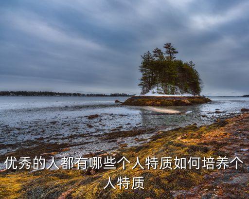 優(yōu)秀的人都有哪些個人特質(zhì)如何培養(yǎng)個人特質(zhì)