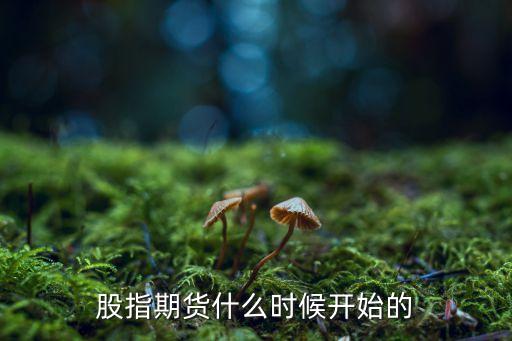 股指期貨什么時(shí)候開始的