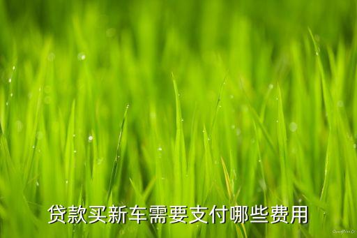 買(mǎi)車(chē)付首付需要什么手續(xù)費(fèi)，貸款買(mǎi)新車(chē)需要支付哪些費(fèi)用