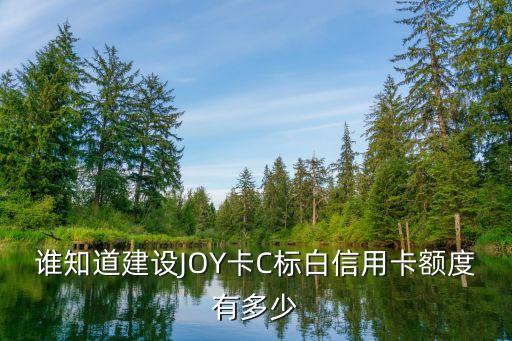 誰(shuí)知道建設(shè)JOY卡C標(biāo)白信用卡額度有多少