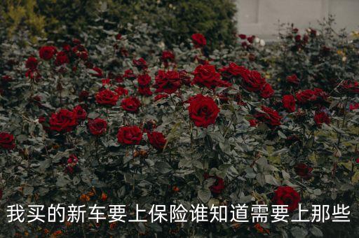我買(mǎi)的新車(chē)要上保險(xiǎn)誰(shuí)知道需要上那些
