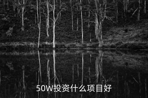 50W投資什么項(xiàng)目好