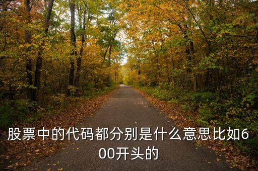 股票中的代碼都分別是什么意思比如600開頭的