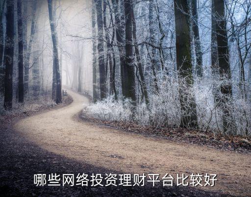 哪些網(wǎng)絡(luò)投資理財(cái)平臺(tái)比較好