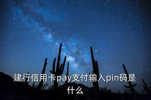 建行信用卡pin碼是什么意思啊，銀行卡開通網(wǎng)銀 pin口令是什么東西 手機(jī)上能用嗎