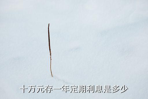十萬(wàn)元存一年定期利息是多少