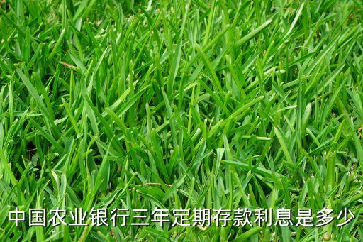 中國農(nóng)業(yè)銀行三年定期存款利息是多少