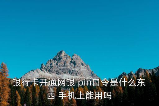 銀行卡開通網(wǎng)銀 pin口令是什么東西 手機上能用嗎
