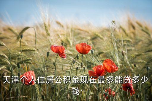 天津個(gè)人住房公積金現(xiàn)在最多能貸多少錢