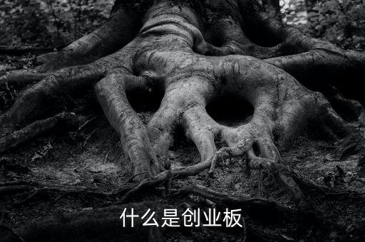 什么是二板市場，什么是創(chuàng)業(yè)版塊股票