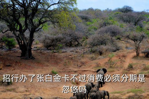 白金卡為什么有分期數(shù)，招商銀行信用卡為什么自動(dòng)給我設(shè)置了分期