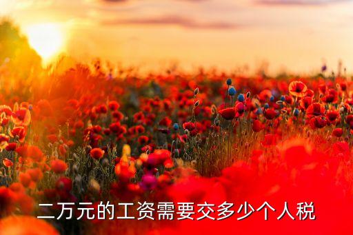 二萬元的工資需要交多少個人稅