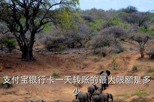 支付寶銀行卡一天轉(zhuǎn)賬的最大限額是多少