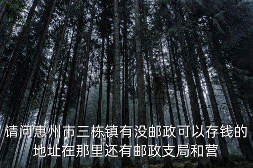 惠州三棟有什么銀行，請(qǐng)問(wèn)惠州市三棟鎮(zhèn)有沒(méi)郵政可以存錢的地址在那里還有郵政支局和營(yíng)