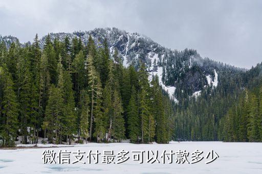 微信付款最高限額是多少，微信支付最多可以付款多少