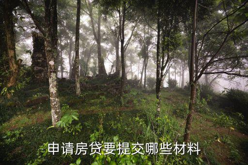 申請(qǐng)房貸要提交哪些材料