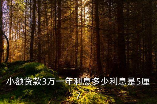 小額貸款3萬一年利息多少利息是5厘7