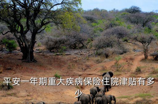 平安一年期重大疾病保險住院津貼有多少