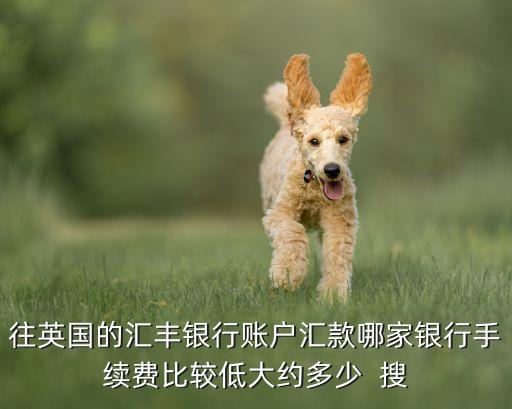 英國(guó)銀行卡轉(zhuǎn)賬 手續(xù)費(fèi)是多少，匯錢(qián)到英國(guó)怎么樣劃算銀行手續(xù)費(fèi)太貴了
