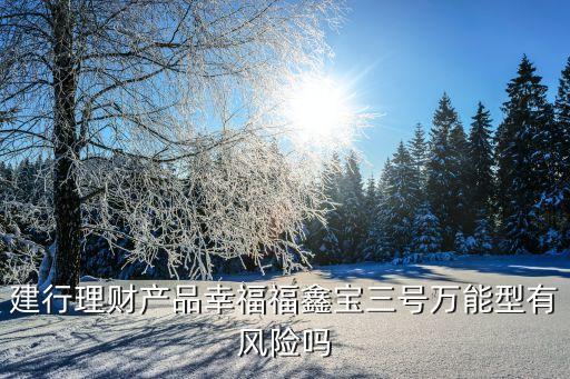 建行理財(cái)產(chǎn)品幸福福鑫寶三號(hào)萬能型有風(fēng)險(xiǎn)嗎