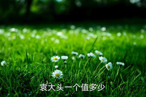 袁大頭現(xiàn)在能賣多少錢，現(xiàn)在普通的袁大頭市場價格值多少錢一塊