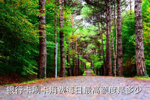 銀行卡刷卡消費每日最高額度是多少
