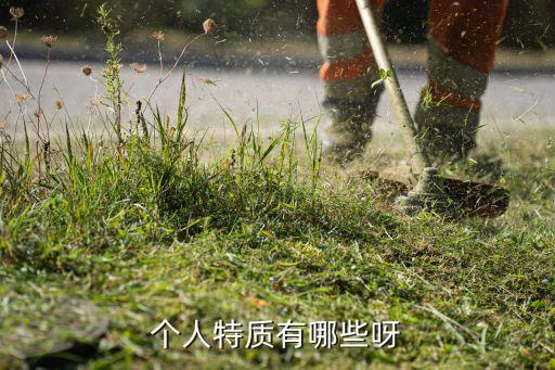 個人特質(zhì)有哪些呀