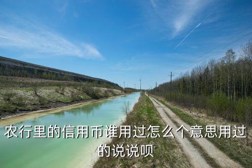農(nóng)行信用幣卡號(hào)是什么意思，信用卡卡號(hào)是什么