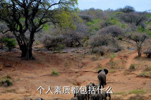 個(gè)人特質(zhì)包括什么，優(yōu)秀的人都有哪些個(gè)人特質(zhì)如何培養(yǎng)個(gè)人特質(zhì)