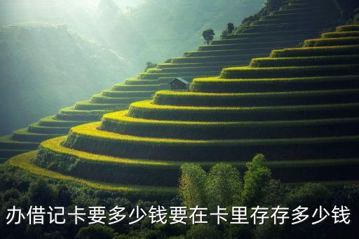 辦借記卡要多少錢要在卡里存存多少錢