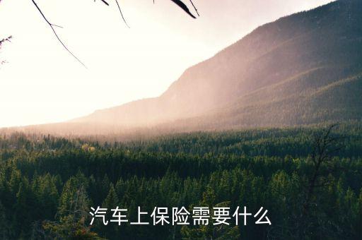 新車輛上保險需要什么，我買的新車要上保險誰知道需要上那些