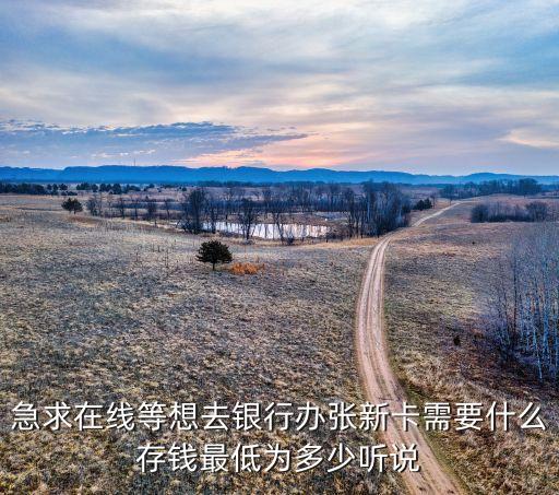 急求在線等想去銀行辦張新卡需要什么存錢最低為多少聽說