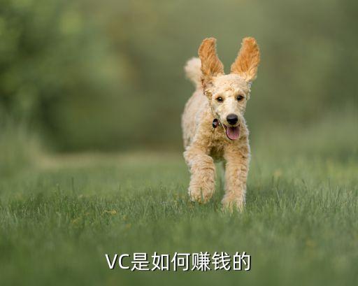vc能賺多少錢，在學(xué)校學(xué)完C語(yǔ)言畢業(yè)以后能做什么樣的工作一個(gè)月大概能多錢