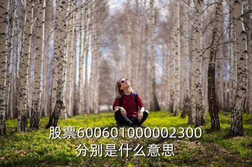 股票600601000002300分別是什么意思