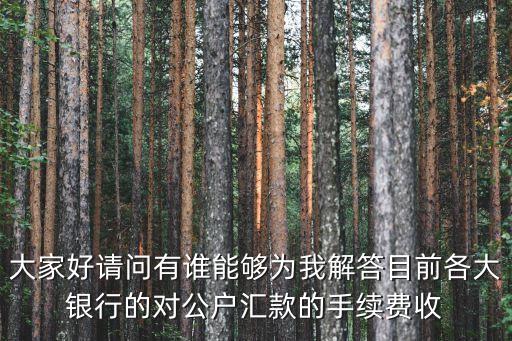 大家好請問有誰能夠為我解答目前各大銀行的對公戶匯款的手續(xù)費收