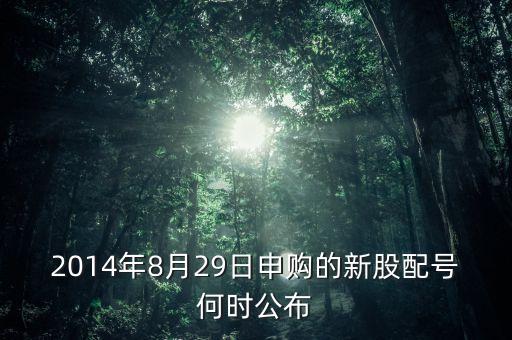 2014年8月29日申購的新股配號何時公布