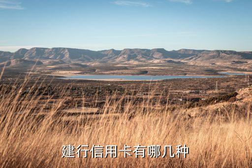 建行級(jí)別卡是什么，建設(shè)銀行客戶等級(jí)頭銜