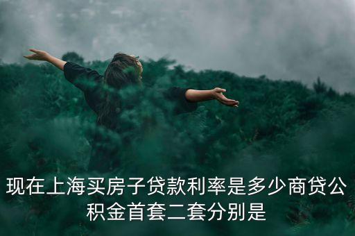 現(xiàn)在上海買(mǎi)房子貸款利率是多少商貸公積金首套二套分別是
